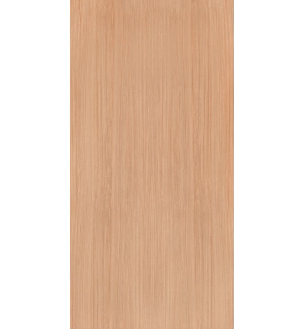 European White Elm Laminate Sheet with Suede (SUD) Finish Woods 0.8 mm | Greenlam Laminates