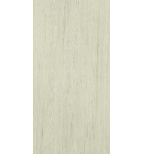 Argent Elm Laminate Sheet with Santhia (SAN) Finish Woods 0.8 mm | Greenlam Laminates