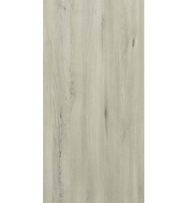 Italian Beech Laminate Sheet with Santhia (SAN) Finish Woods 0.8 mm | Greenlam Laminates