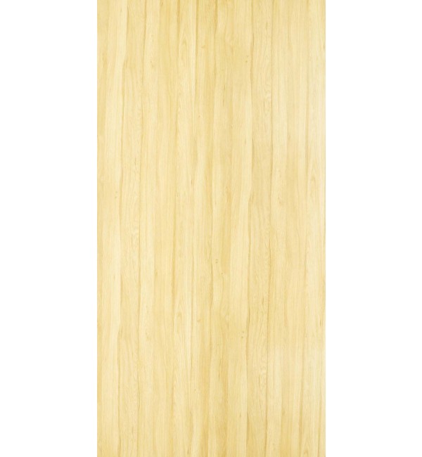 Primeval Oak Laminate Sheet with Super Gloss (SGL) Finish Woods 0.8 mm | Greenlam Laminates