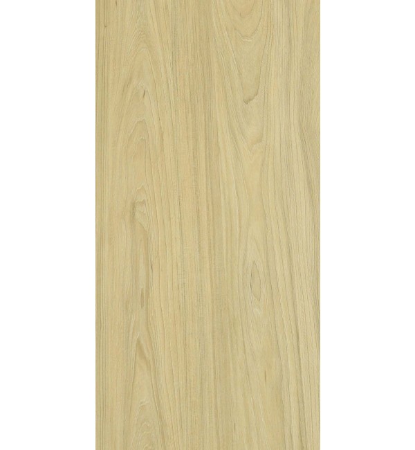Rovigo Elm Laminate Sheet with Synchro (SY1) Finish Woods 0.8 mm | Greenlam Laminates