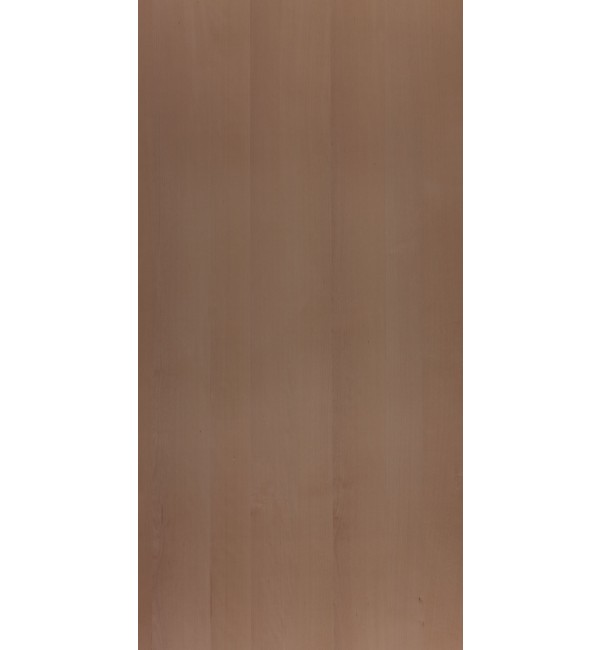 Steam Beech Laminate Sheet with NA Finish NA 1.5 mm | Greenlam Laminates