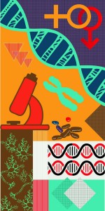  Laminate Sheet with Suede (SUD) Finish Genius 1 mm | Greenlam Laminates