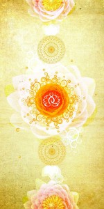  Laminate Sheet with Super Gloss (SGL) Finish Retail 1 mm | Greenlam Laminates