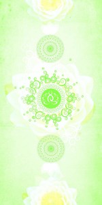  Laminate Sheet with Super Gloss (SGL) Finish Retail 1 mm | Greenlam Laminates