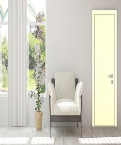 Mysore Ivory