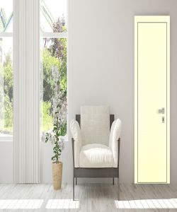 Mysore Ivory