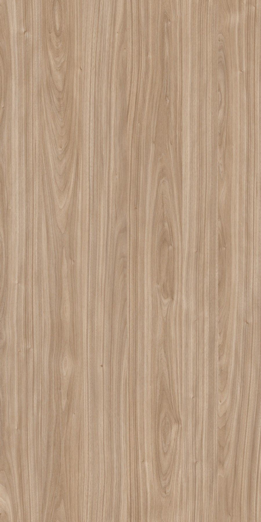 Laminate Sheet with Suede (SUD) Finish Woods 1.0mm mm | Greenlam Laminates