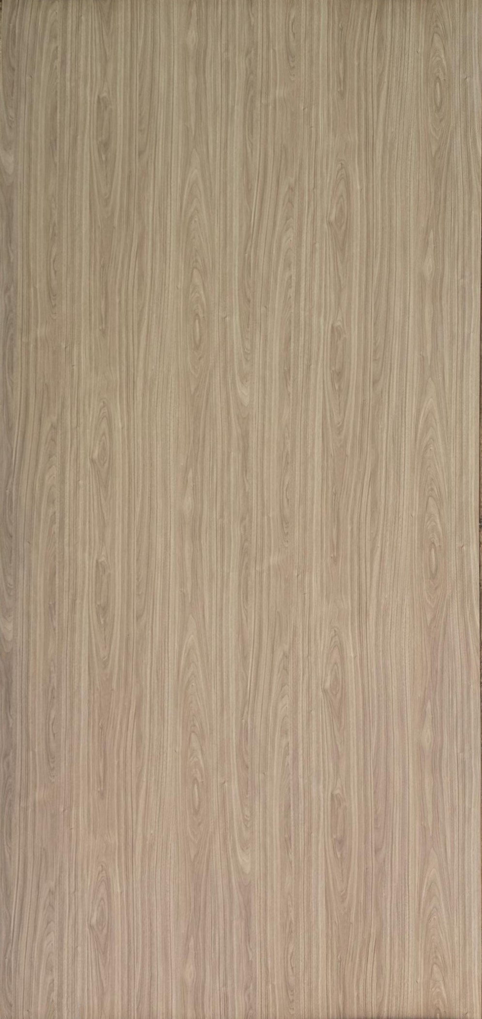  Laminate Sheet with Suede (SUD) Finish Woods 1.0mm mm | Greenlam Laminates