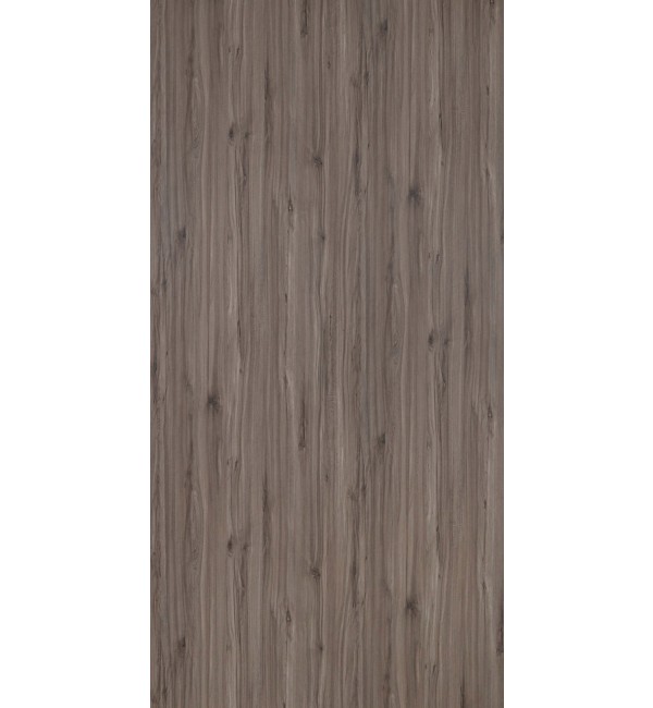 Vienna Beech