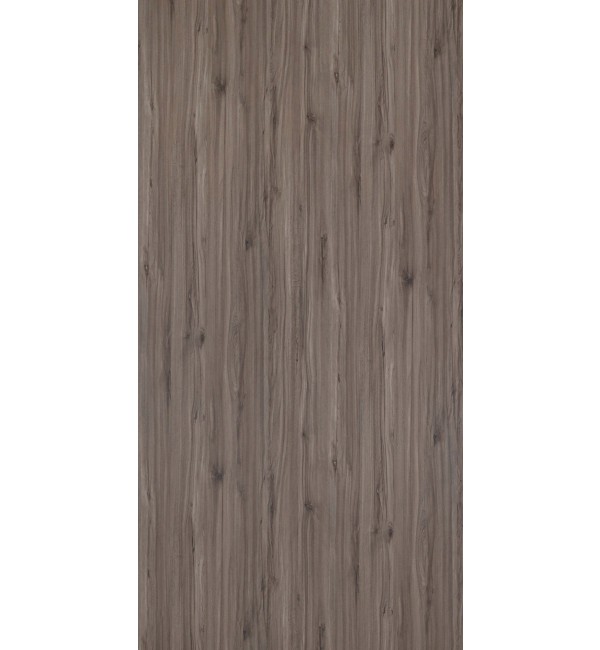 Vienna Beech