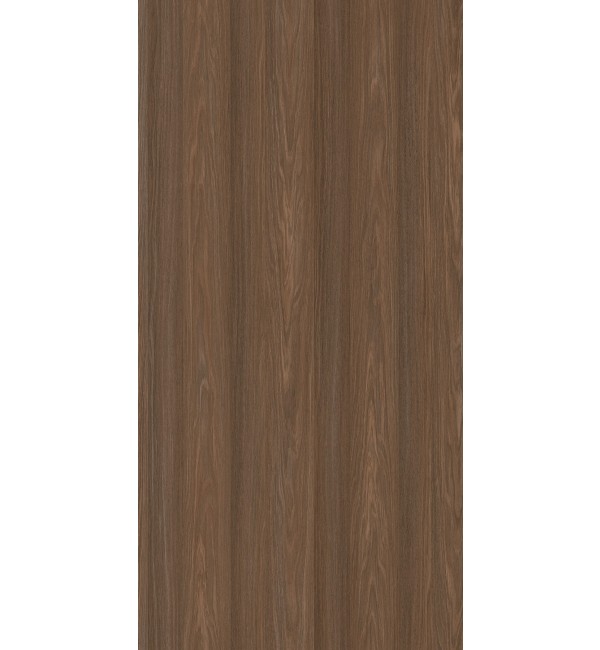 Salvador Oak