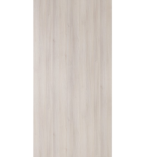 Munich Acacia
