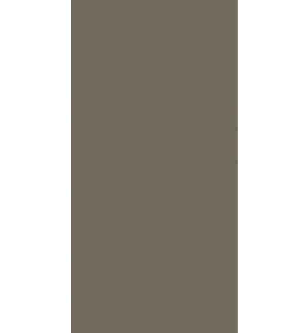 Pine Nut