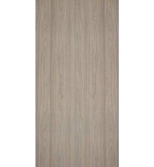 Rosenheim Elm
