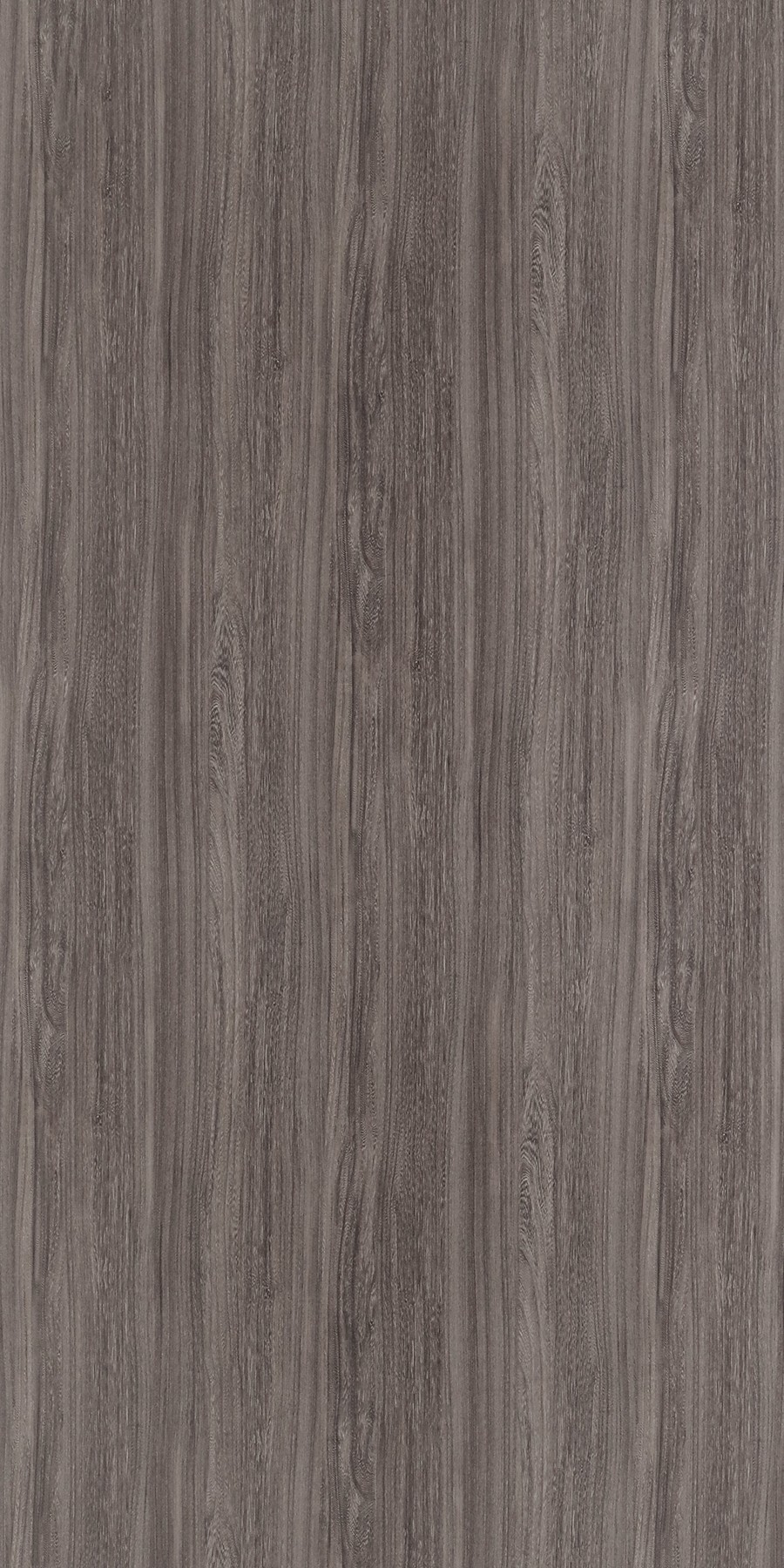 aaHorizon Elm Brown