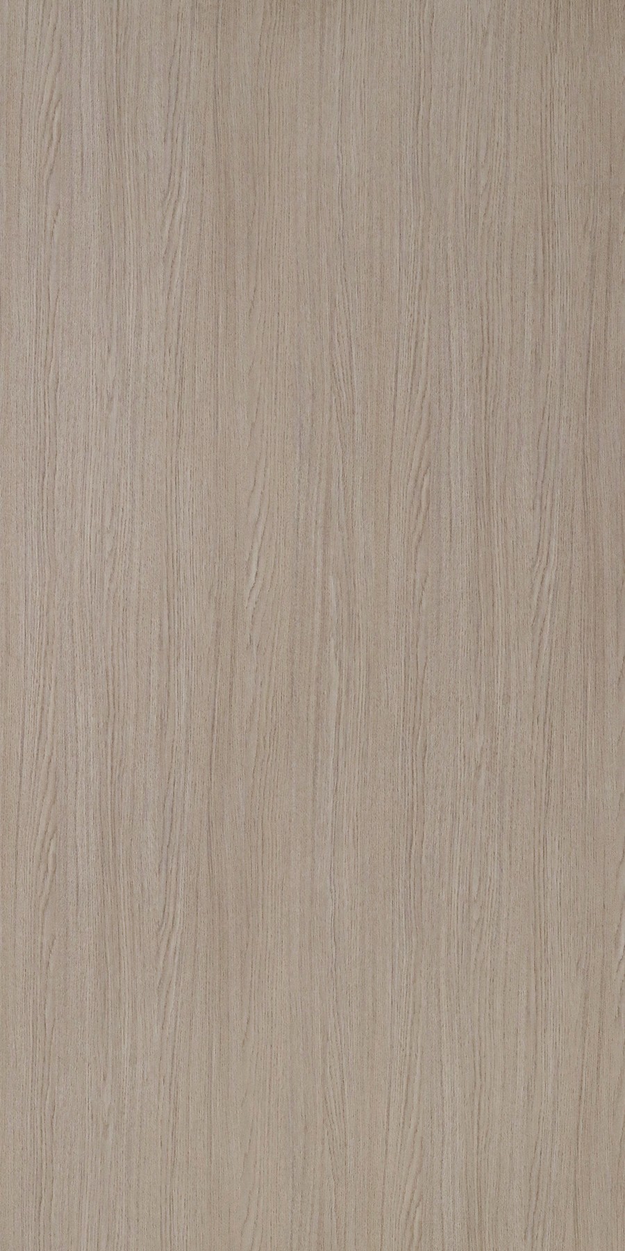 aaPalermo Oak