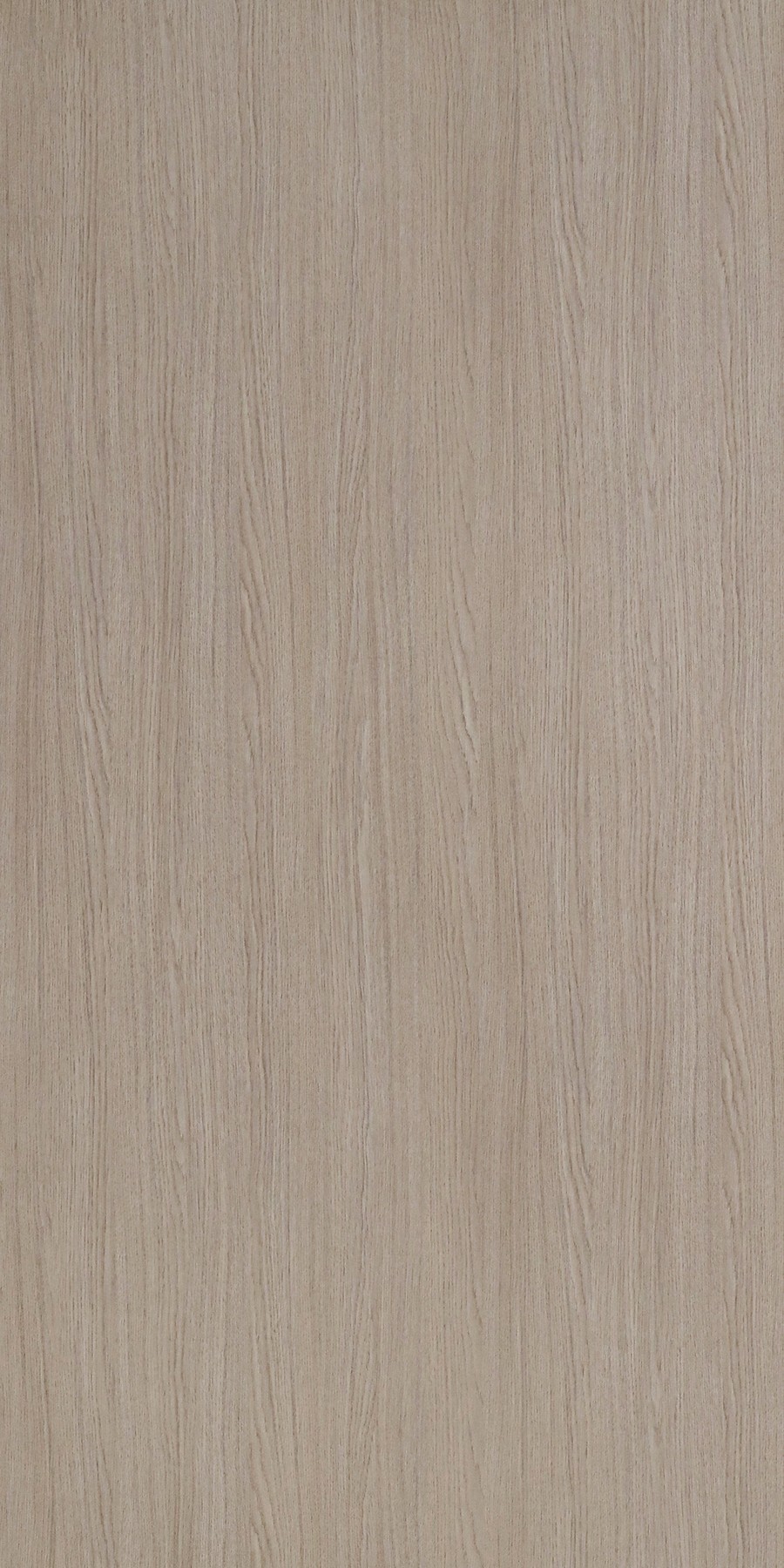 aaPalermo Oak