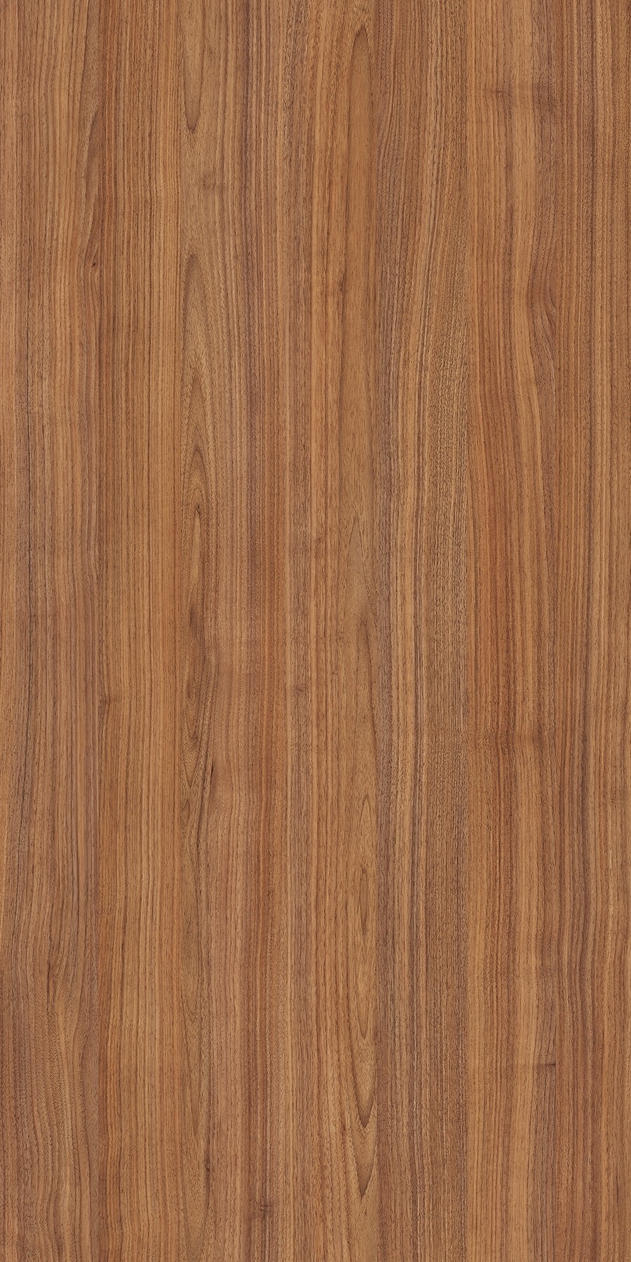 aaSaturno Walnut
