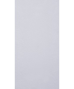 Silver Grey