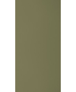 Pine Nut