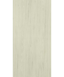 Argent Elm