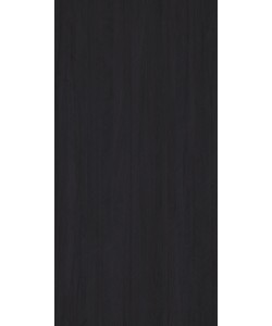 Dandy Wood Anthracite