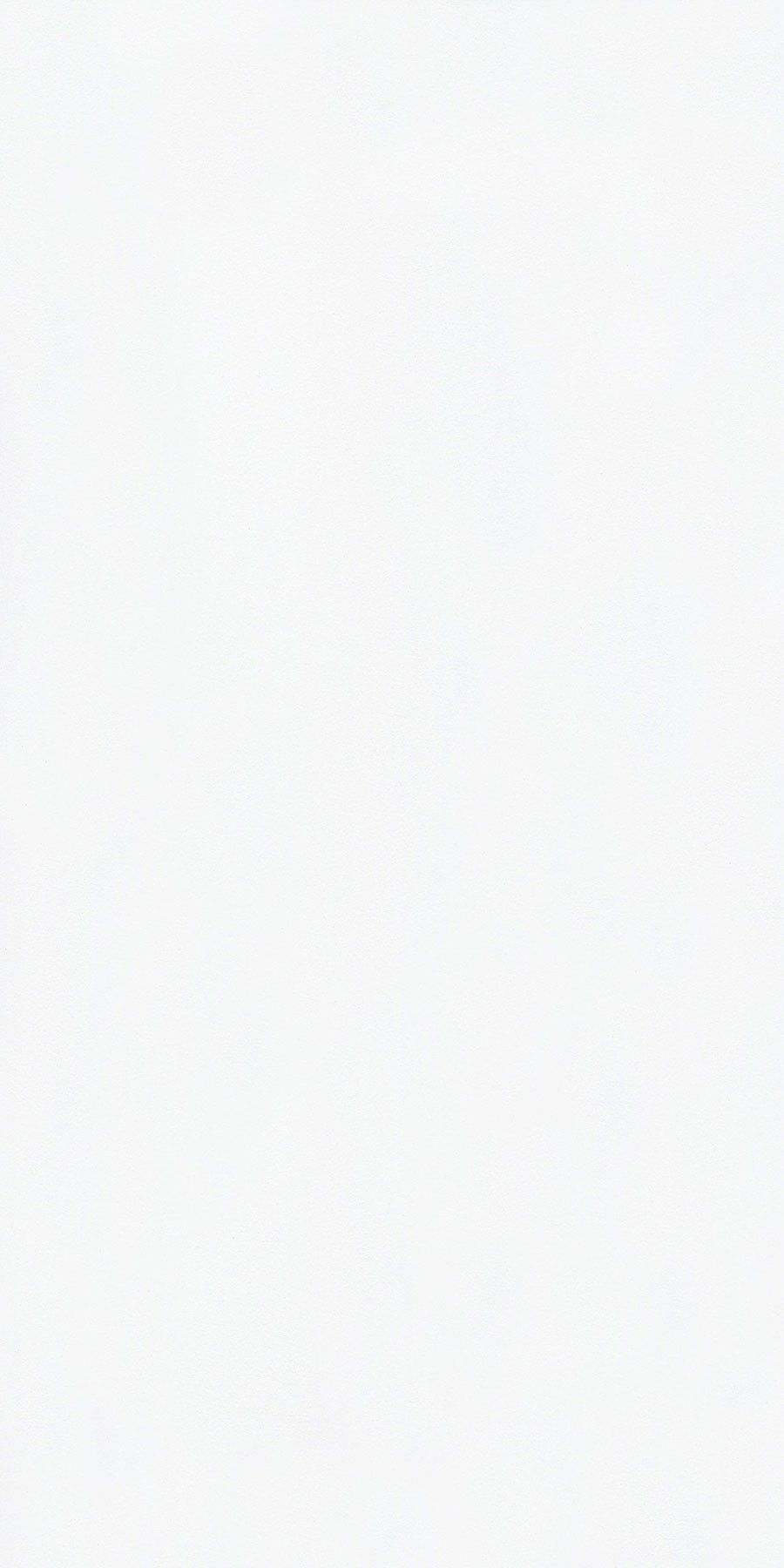 Absolute White