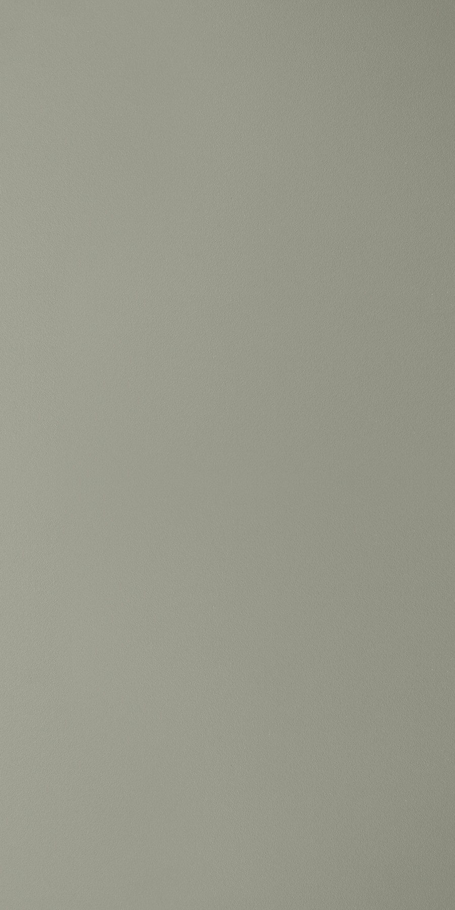 Ash Grey