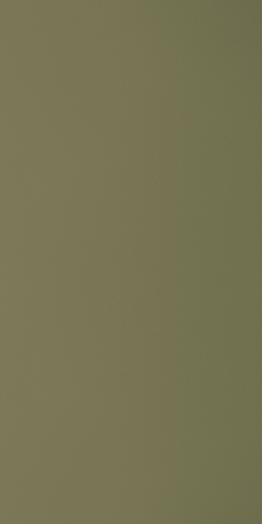 Pine Nut