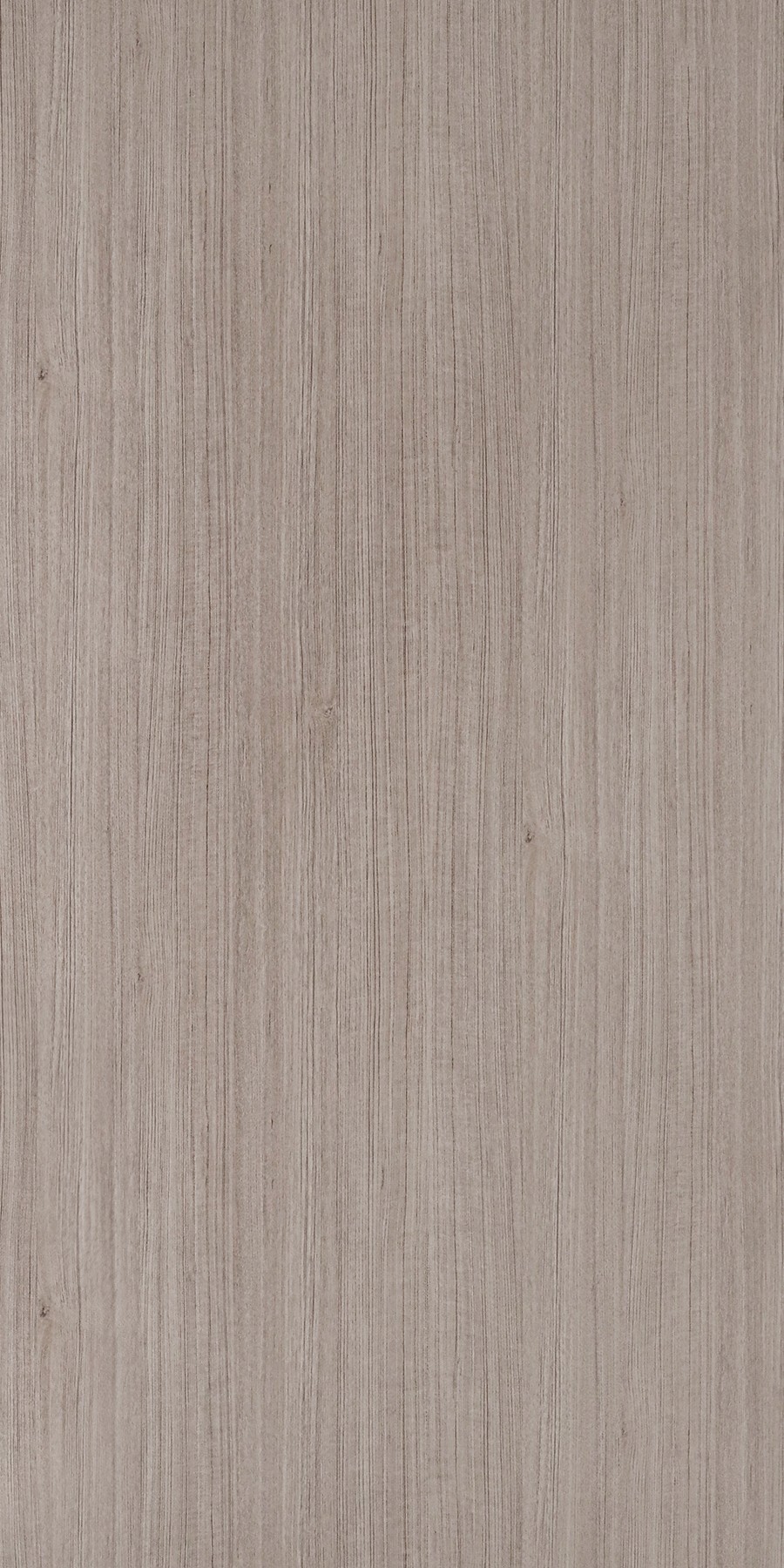 Belavista Taupe