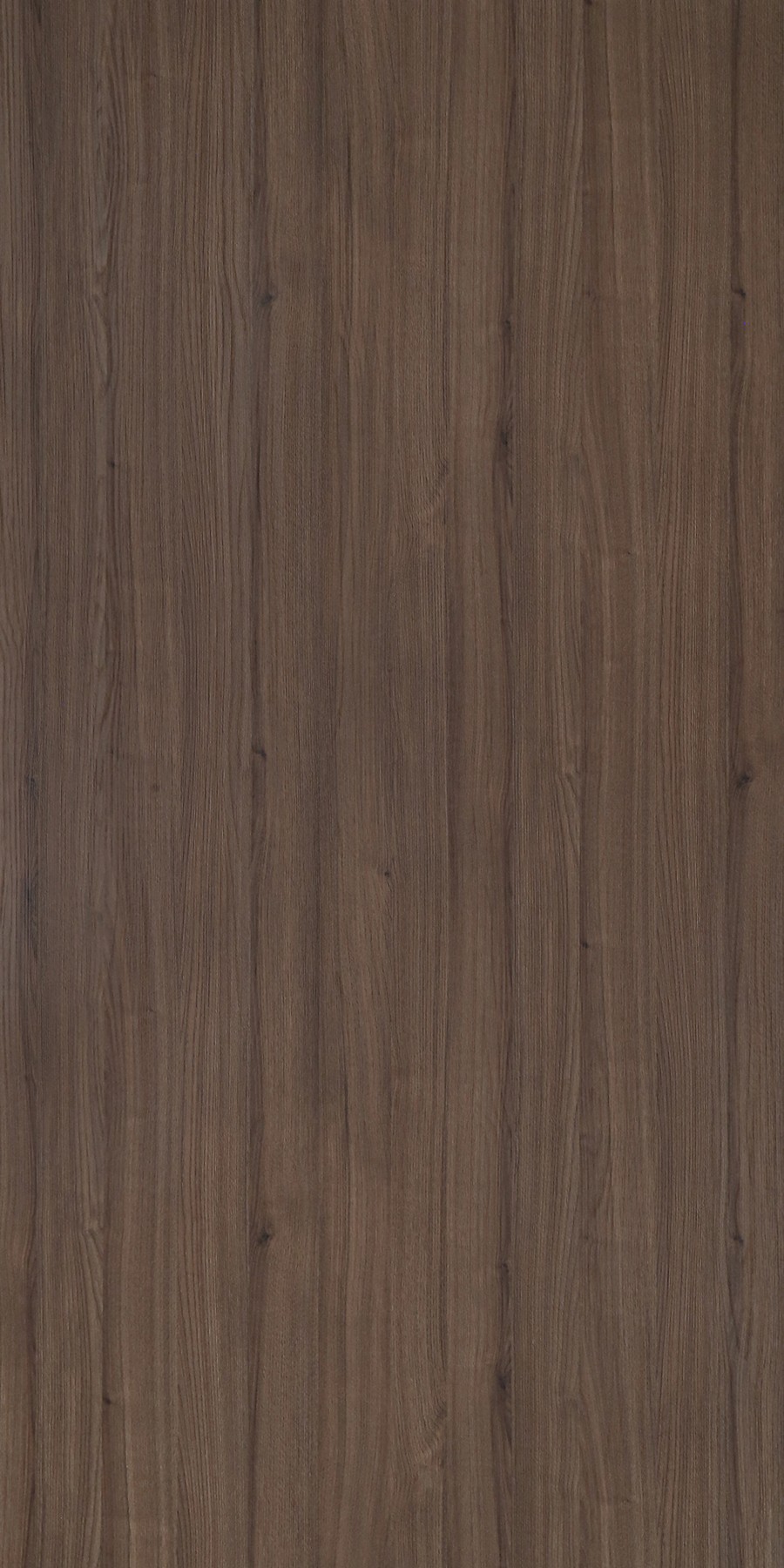 Chelsea Chestnut Brown