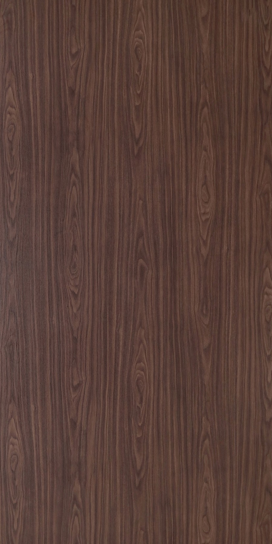 American Walnut