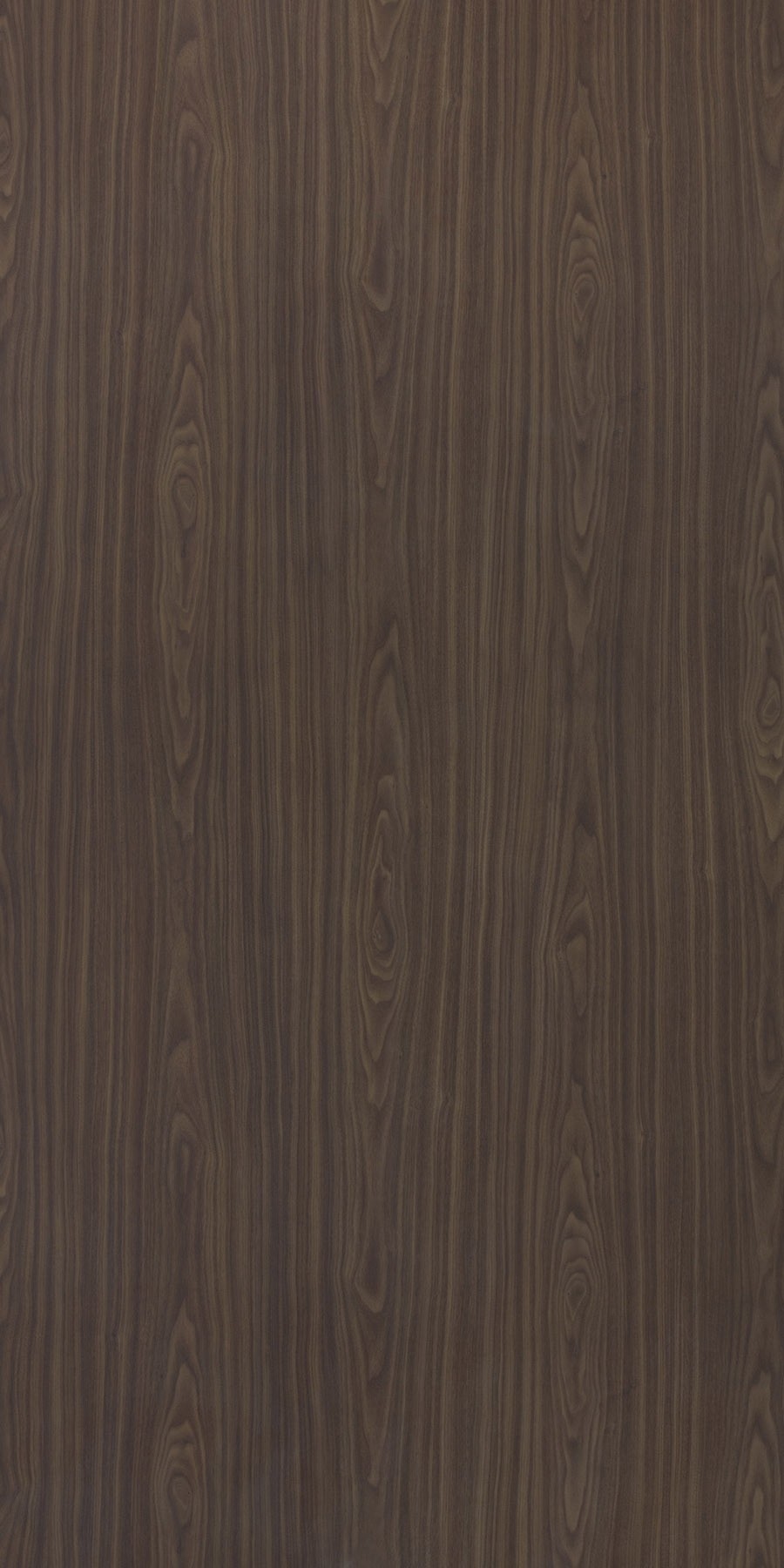 American Walnut