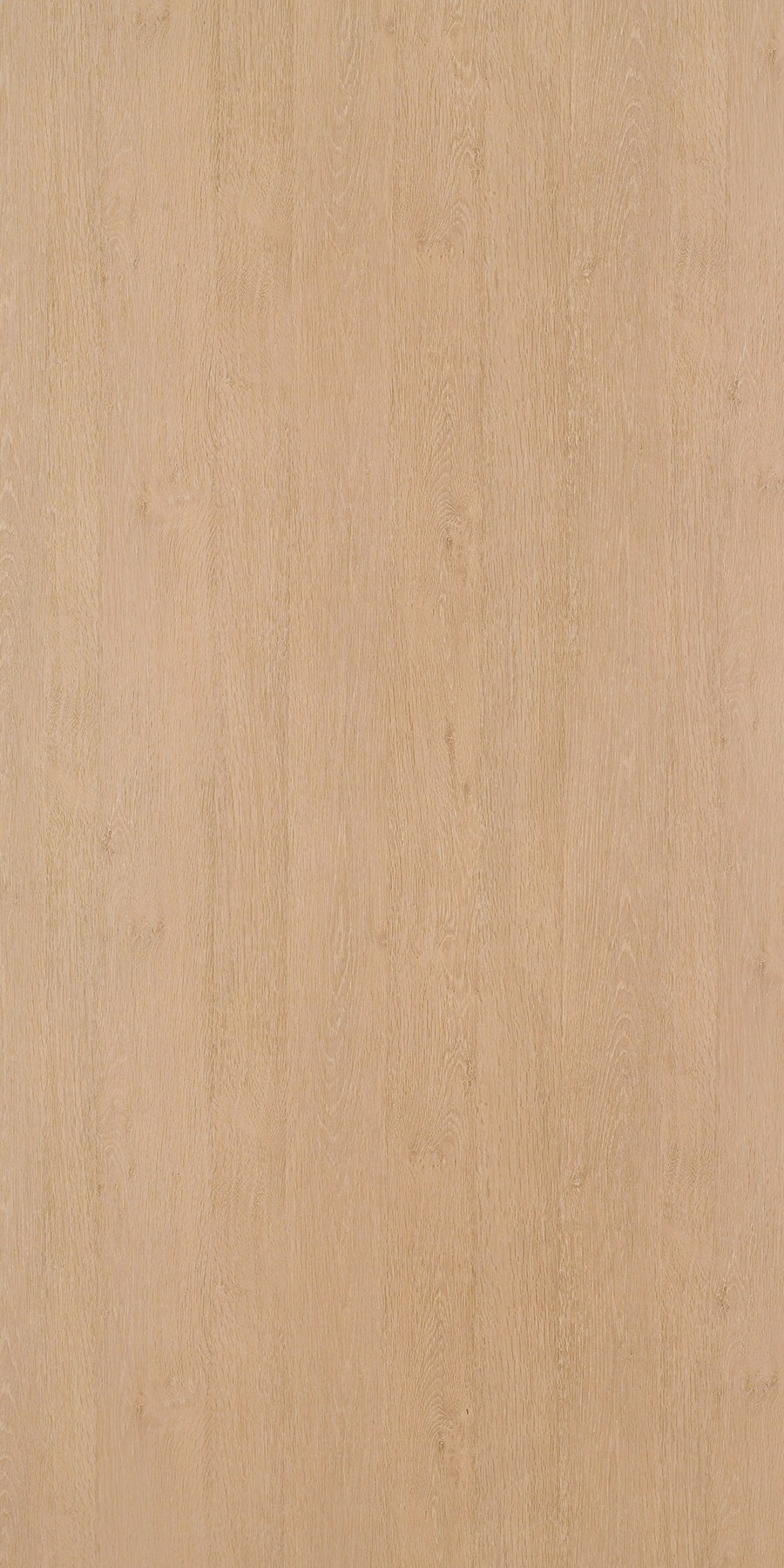 Spirited Oak