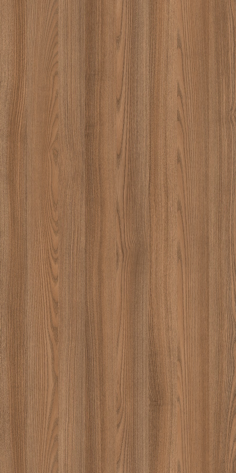 California Ash